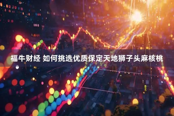福牛财经 如何挑选优质保定天地狮子头麻核桃