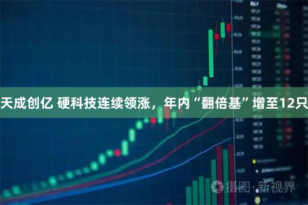 天成创亿 硬科技连续领涨，年内“翻倍基”增至12只
