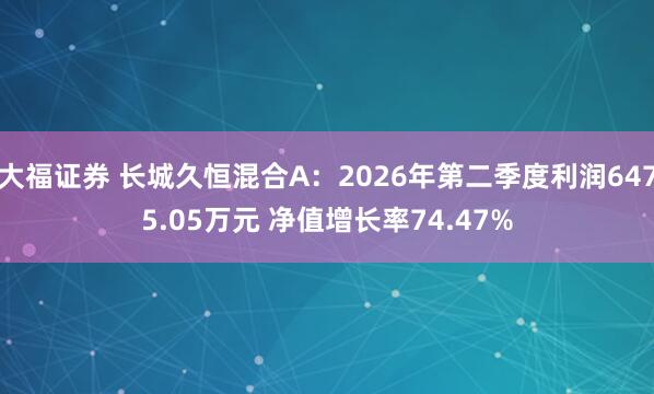 大福证券 长城久恒混合A：2026年第二季度利润6475.05万元 净值增长率74.47%