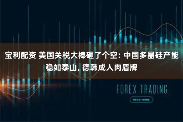 宝利配资 美国关税大棒砸了个空: 中国多晶硅产能稳如泰山, 德韩成人肉盾牌